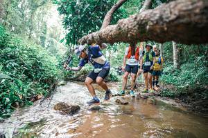 BIB: 
                            <button type="button" onclick="openModal(25374426)" class="btn btn-primary btn-sm float-right btn-popup" data-toggle="modal" data-target=".modal-high-quality">
                        <i class="fas fa-shopping-cart"></i> Add to Cart
                    </button>
                                            <button type="button" onclick="isThisMe(25374426, true)" class="btn btn-success btn-sm float-right btn-popup btn-isme hidden" data-toggle="tooltip" data-placement="bottom" title="นี่คือรูปของคุณใช่ไหม คลิกที่นี่เพื่อเอาเข้าอัลบั้ม">
                        <i class="fas fa-plus"></i> Add to album
                    </button>
                    <button type="button" onclick="isThisMe(25374426, false)" class="btn btn-warning btn-sm float-right btn-popup btn-isnotme hidden">
                        <i class="fas fa-ban"></i> Remove from album
                    </button>